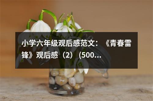 小學(xué)六年級(jí)觀后感范文：《青春雷鋒》觀后感（2） (500字)