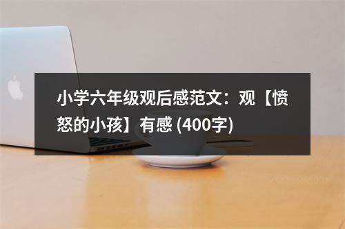小學六年級觀后感范文：觀【憤怒的小孩】有感 (400字)