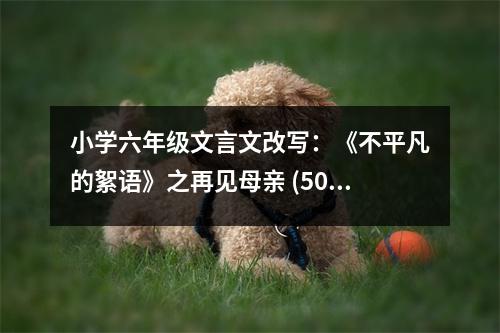 小學(xué)六年級(jí)文言文改寫：《不平凡的絮語》之再見母親 (500字)