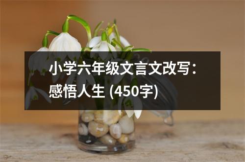 小學六年級文言文改寫：感悟人生 (450字)