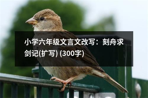 小學(xué)六年級文言文改寫：刻舟求劍記(擴(kuò)寫) (300字)