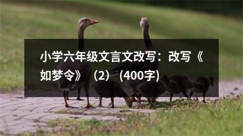 小學六年級文言文改寫：改寫《如夢令》（2） (400字)