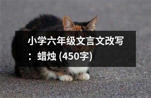 小學六年級文言文改寫：蠟燭 (450字)