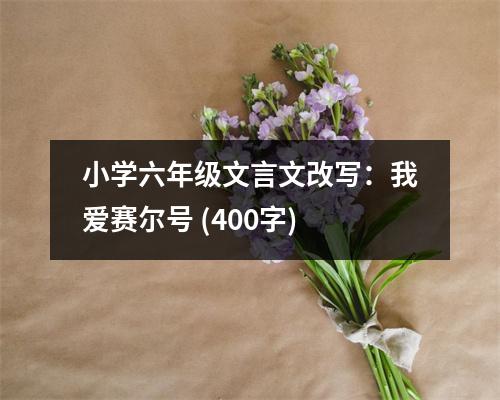 小學(xué)六年級(jí)文言文改寫：我愛賽爾號(hào) (400字)