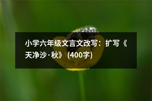 小學(xué)六年級文言文改寫：擴(kuò)寫《天凈沙·秋》 (400字)