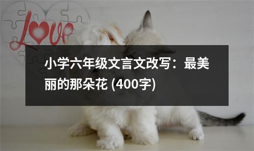 小學(xué)六年級文言文改寫：最美麗的那朵花 (400字)