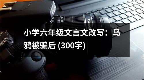 小學(xué)六年級文言文改寫：烏鴉被騙后 (300字)