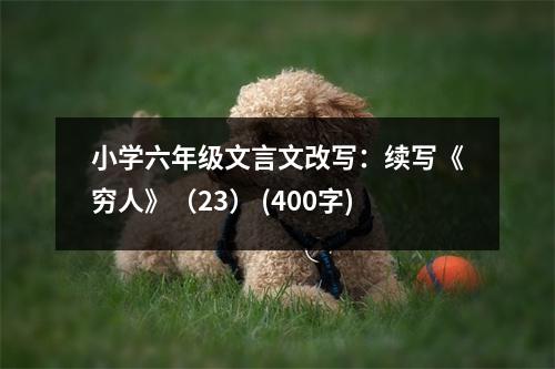 小學(xué)六年級(jí)文言文改寫：續(xù)寫《窮人》（23） (400字)