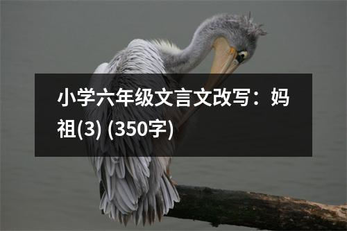 小學(xué)六年級(jí)文言文改寫：媽祖(3) (350字)