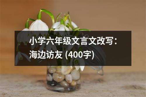 小學(xué)六年級文言文改寫：海邊訪友 (400字)