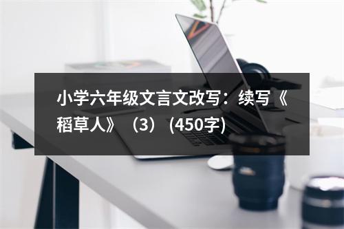 小學(xué)六年級文言文改寫：續(xù)寫《稻草人》（3） (450字)