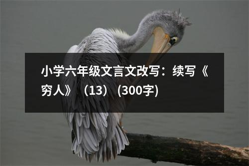 小學(xué)六年級(jí)文言文改寫：續(xù)寫《窮人》（13） (300字)