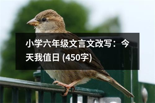 小學(xué)六年級(jí)文言文改寫：今天我值日 (450字)