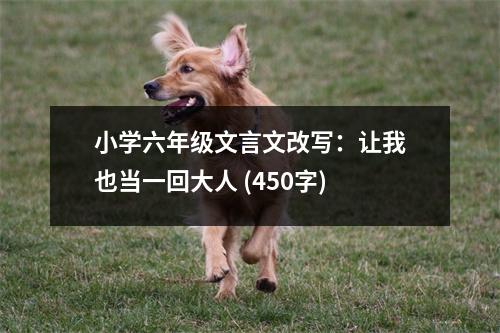 小學(xué)六年級(jí)文言文改寫：讓我也當(dāng)一回大人 (450字)