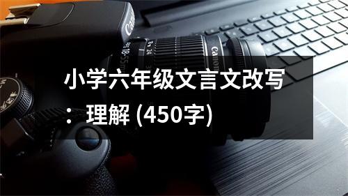 小學(xué)六年級(jí)文言文改寫：理解 (450字)