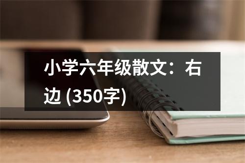 小學(xué)六年級(jí)散文：右邊 (350字)