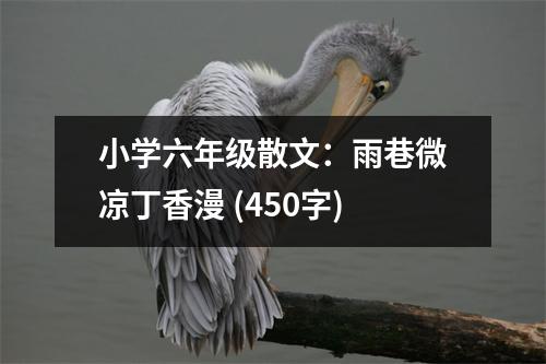 小學(xué)六年級散文：雨巷微涼丁香漫 (450字)