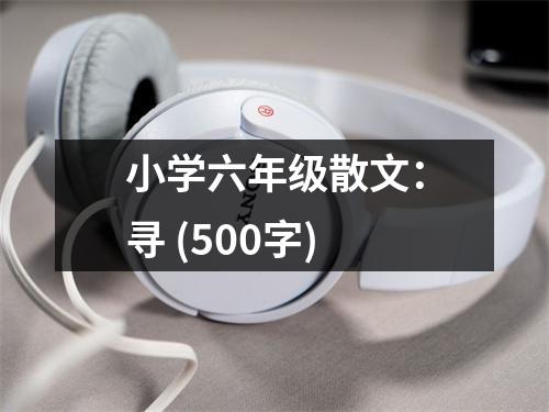 小學(xué)六年級(jí)散文：尋 (500字)