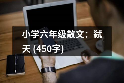 小學(xué)六年級散文：弒天 (450字)