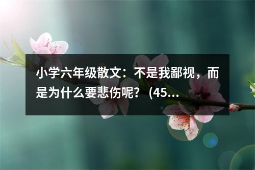 小學(xué)六年級(jí)散文：不是我鄙視，而是為什么要悲傷呢？ (450字)