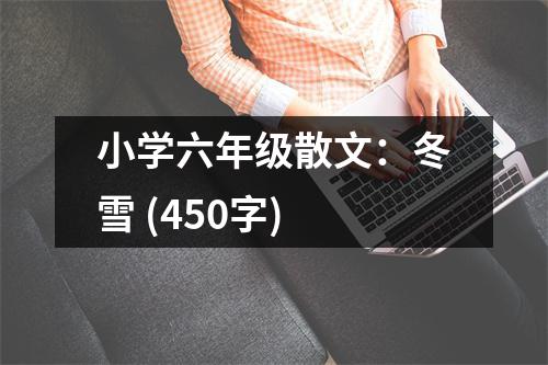 小學(xué)六年級(jí)散文：冬雪 (450字)