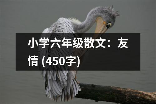 小學(xué)六年級散文：友情 (450字)