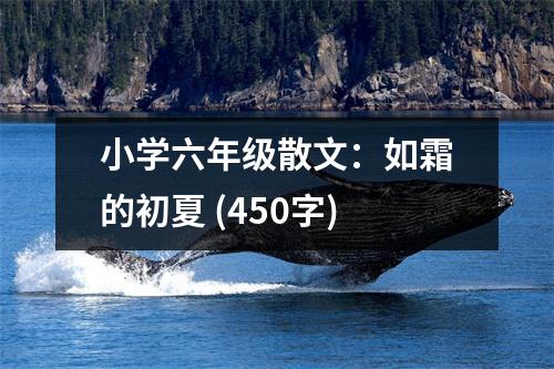 小學(xué)六年級(jí)散文：如霜的初夏 (450字)