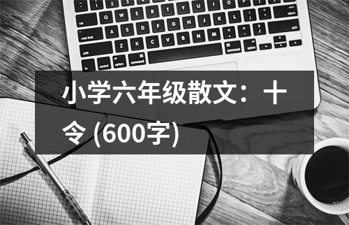 小學(xué)六年級(jí)散文：十令 (600字)