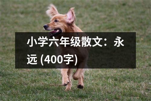 小學六年級散文：永遠 (400字)