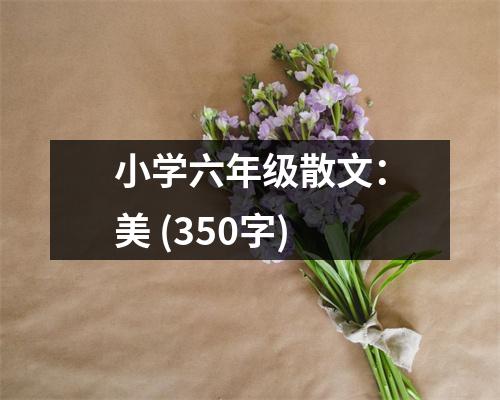 小學(xué)六年級(jí)散文：美 (350字)