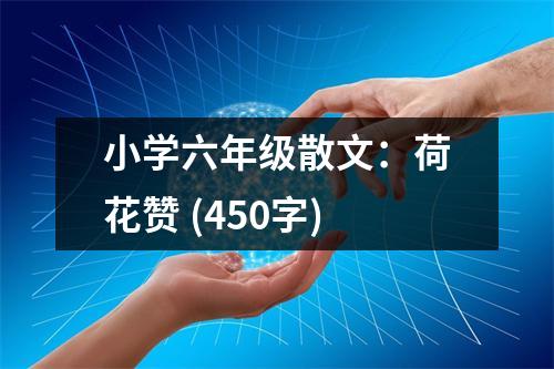 小學(xué)六年級(jí)散文：荷花贊 (450字)
