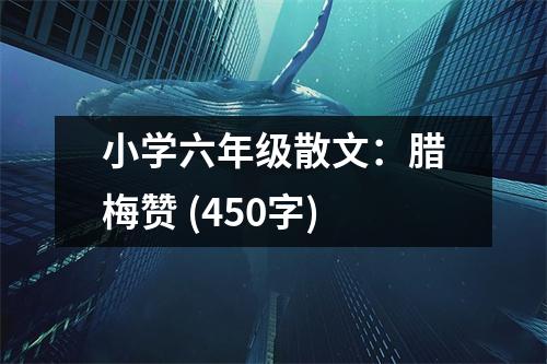 小學(xué)六年級散文：臘梅贊 (450字)