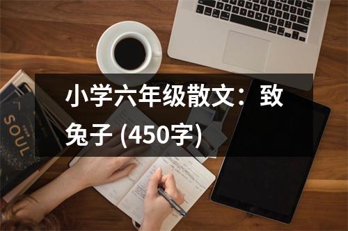 小學(xué)六年級散文：致兔子 (450字)