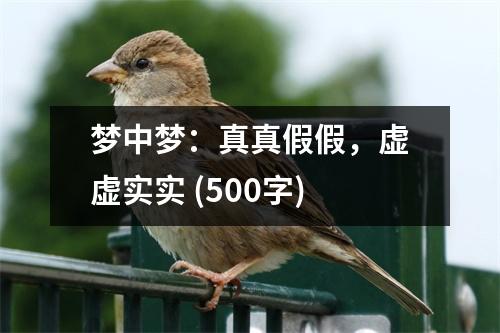 夢(mèng)中夢(mèng)：真真假假，虛虛實(shí)實(shí) (500字)