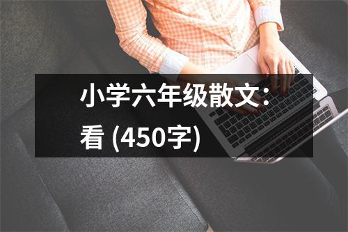 小學(xué)六年級散文：看 (450字)