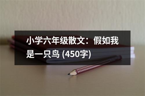 小學(xué)六年級(jí)散文：假如我是一只鳥(niǎo) (450字)