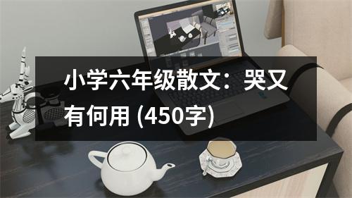小學(xué)六年級散文：哭又有何用 (450字)