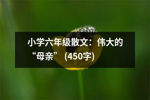 小學(xué)六年級散文：偉大的“母親” (450字)