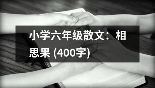 小學(xué)六年級(jí)散文：相思果 (400字)