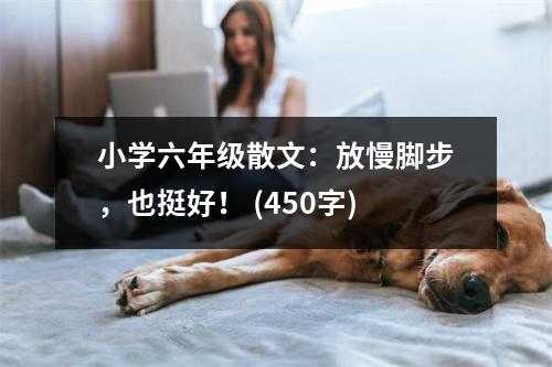 小學(xué)六年級(jí)散文：放慢腳步，也挺好！ (450字)