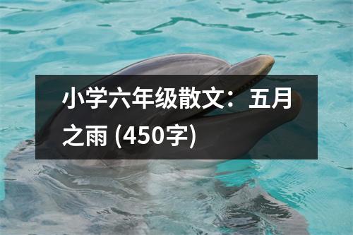 小學(xué)六年級散文：五月之雨 (450字)