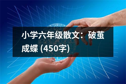小學(xué)六年級散文：破繭成蝶 (450字)