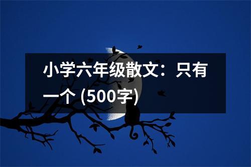 小學(xué)六年級(jí)散文：只有一個(gè) (500字)