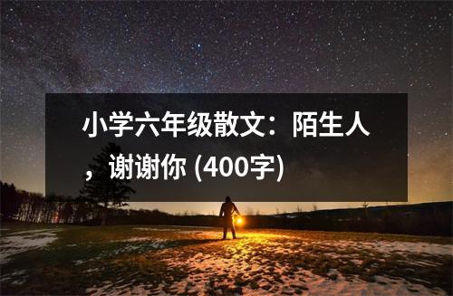 小學(xué)六年級(jí)散文：陌生人，謝謝你 (400字)