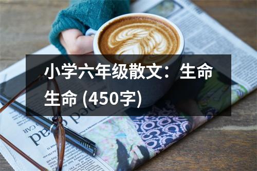 小學(xué)六年級(jí)散文：生命生命 (450字)