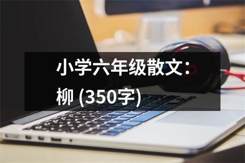 小學(xué)六年級(jí)散文：柳 (350字)