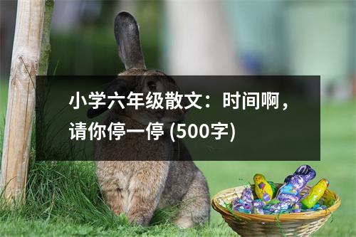 小學(xué)六年級(jí)散文：時(shí)間啊，請(qǐng)你停一停 (500字)