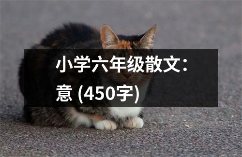 小學(xué)六年級散文：意 (450字)