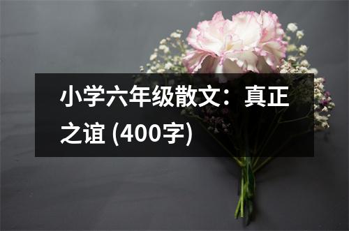 小學(xué)六年級散文：真正之誼 (400字)