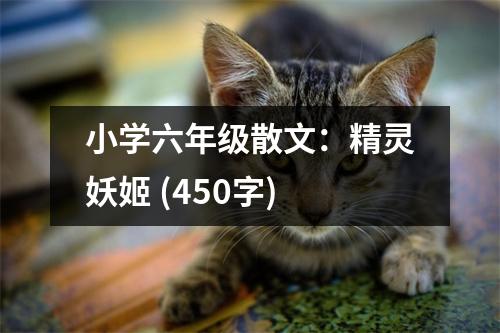 小學(xué)六年級(jí)散文：精靈妖姬 (450字)